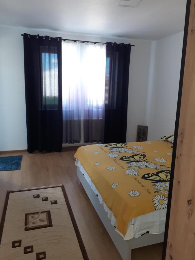 Casa Dana Apartment Sibiu Luaran gambar